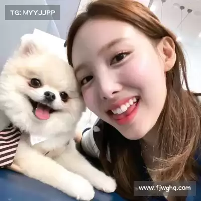 魏花梦